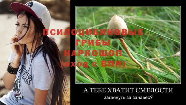 каннабис Беломорск